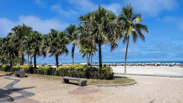 A beachside promenade with palm trees, benches, and a sandy path leading to the beach. - Apto em Praia Grande a 500m da Praia do Caiçara (Praia Grande)