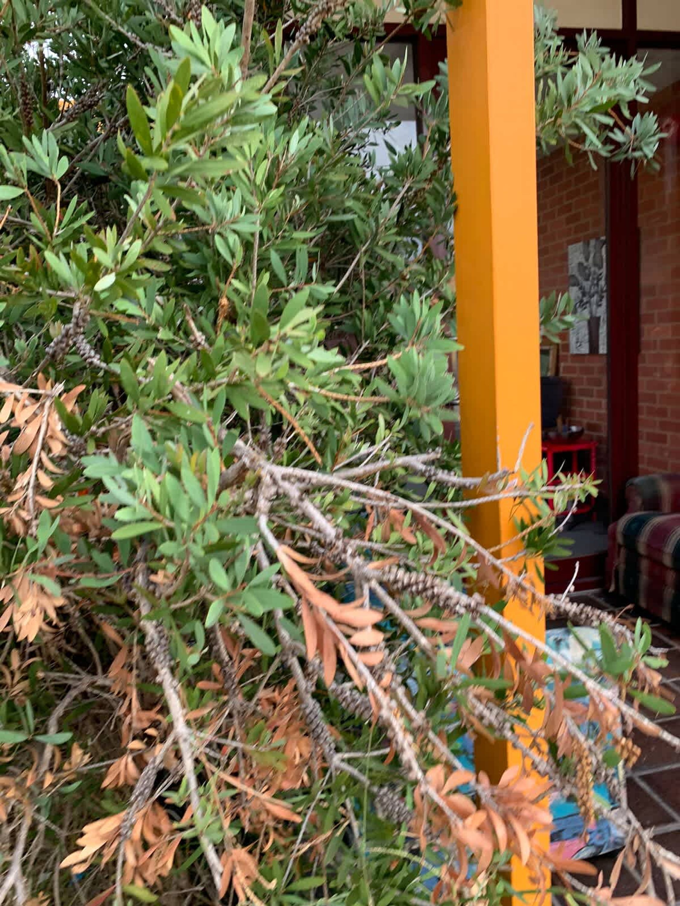 Ferienhaus | 1 Schlafzimmer