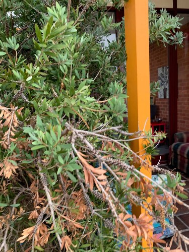 Chadstone Holiday W6 Villa