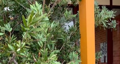 Chadstone Holiday W6 Villa