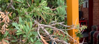 Chadstone Holiday W6 Villa