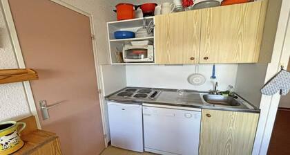 Apartment in France With Ski Access