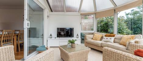 Smart TV, fireplace, books