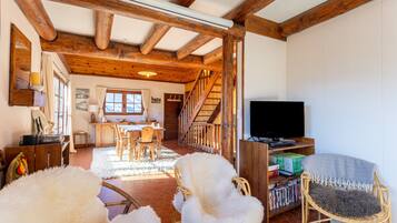 TV, fireplace, DVD player