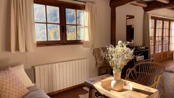 TV, lareira, DVD player