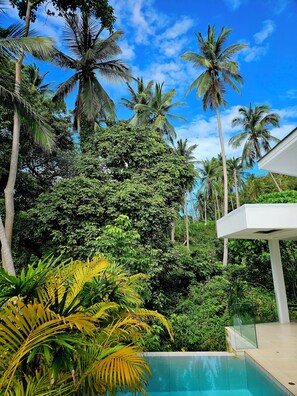 Outdoor pool - Villa Blue Vanilla - 2BR Modern Villa/private Pool in amazing Ko Samui (Ko Samui District)