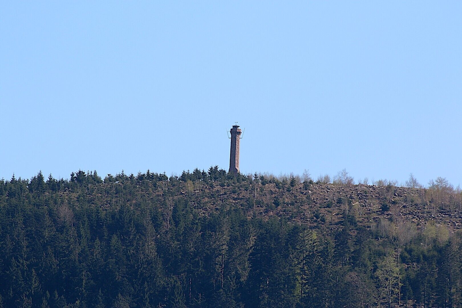 Een toren op een heuvel, met een dicht bos op de voorgrond.