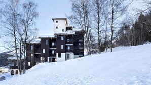 Exterior - Beautiful Attic Apartment With Mont Blanc View (La Plagne-Tarentaise)