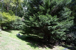 Àrea exterior de l'allotjament