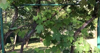 Lele Maria's Cottage