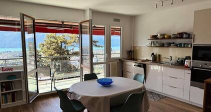 Apartment in Aix-les-bains With Lake View