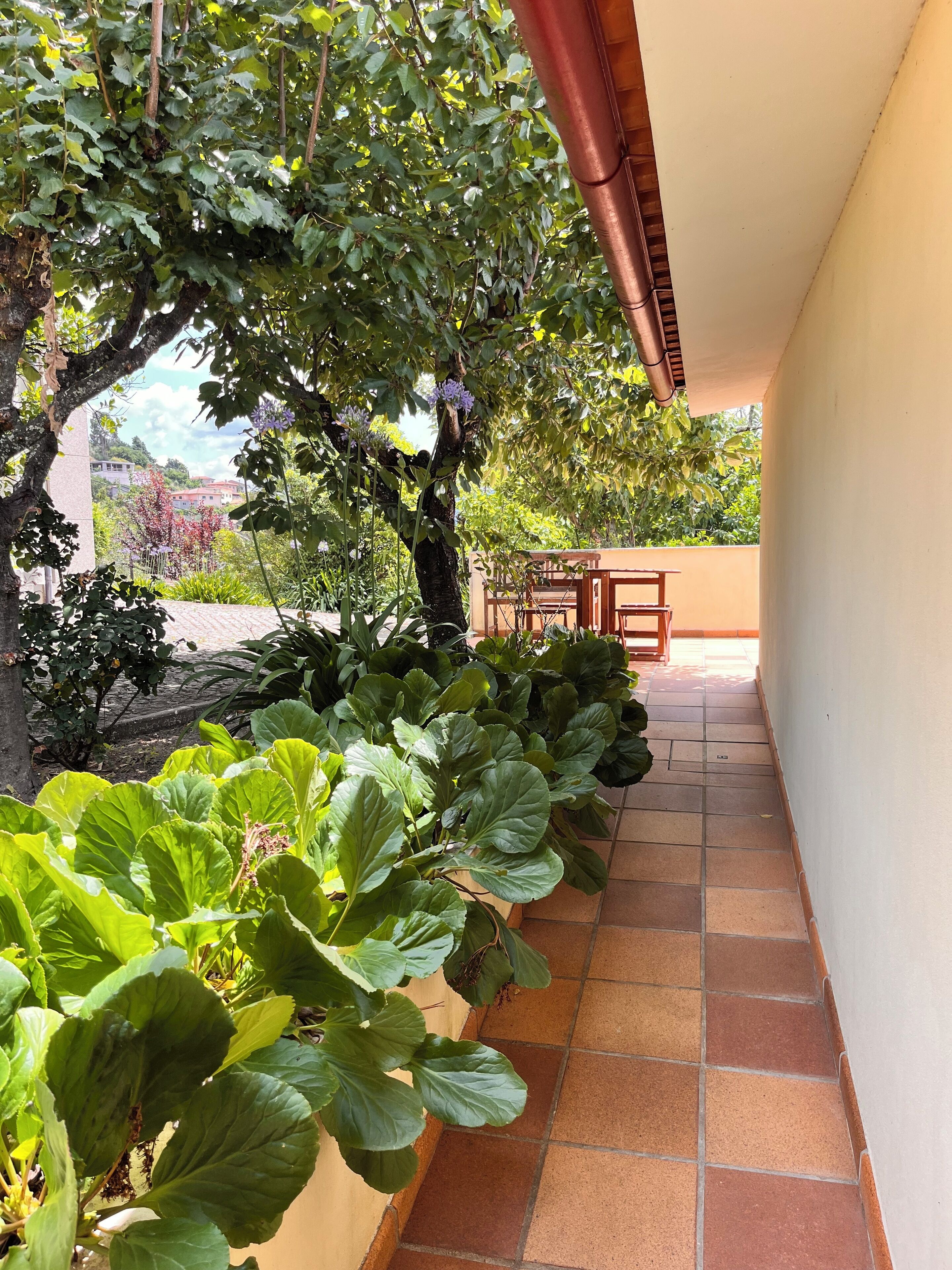 A corridor with a tiled floor, a wooden bench, and a potted plant with large green leaves.