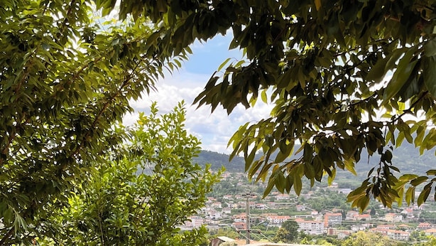 Eine Terrasse mit einer hölzernen Bank und einem Tisch, umgeben von Bäumen und Blick auf eine Stadt.
