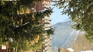 Unclassified image, 2 of 3, button - Apartment Near La Voie Lactee Chairlift (Villarembert)