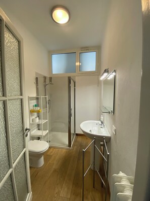 Un baño moderno con ducha envuelta en vidrio, un lavamanos blanco con espejo y un inodoro.