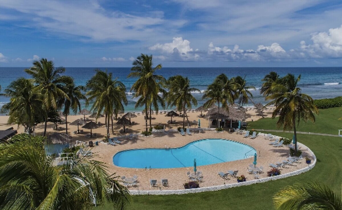 Host profile image