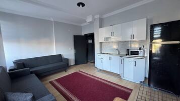 Großer Kühlschrank, Mikrowelle, Herdplatte