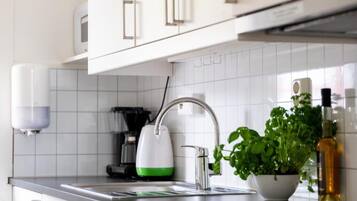 Full-sized fridge, microwave, oven, stovetop