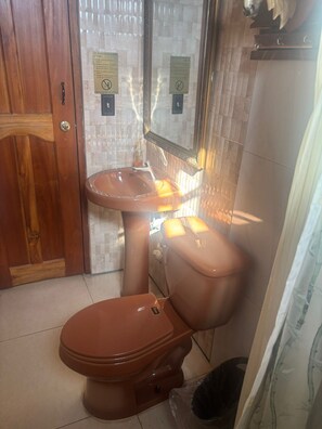 Shower, soap, toilet paper