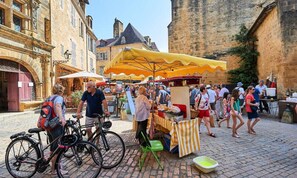 Miscellaneous - Villa in Dordogne With Private Pool (Lanzac)