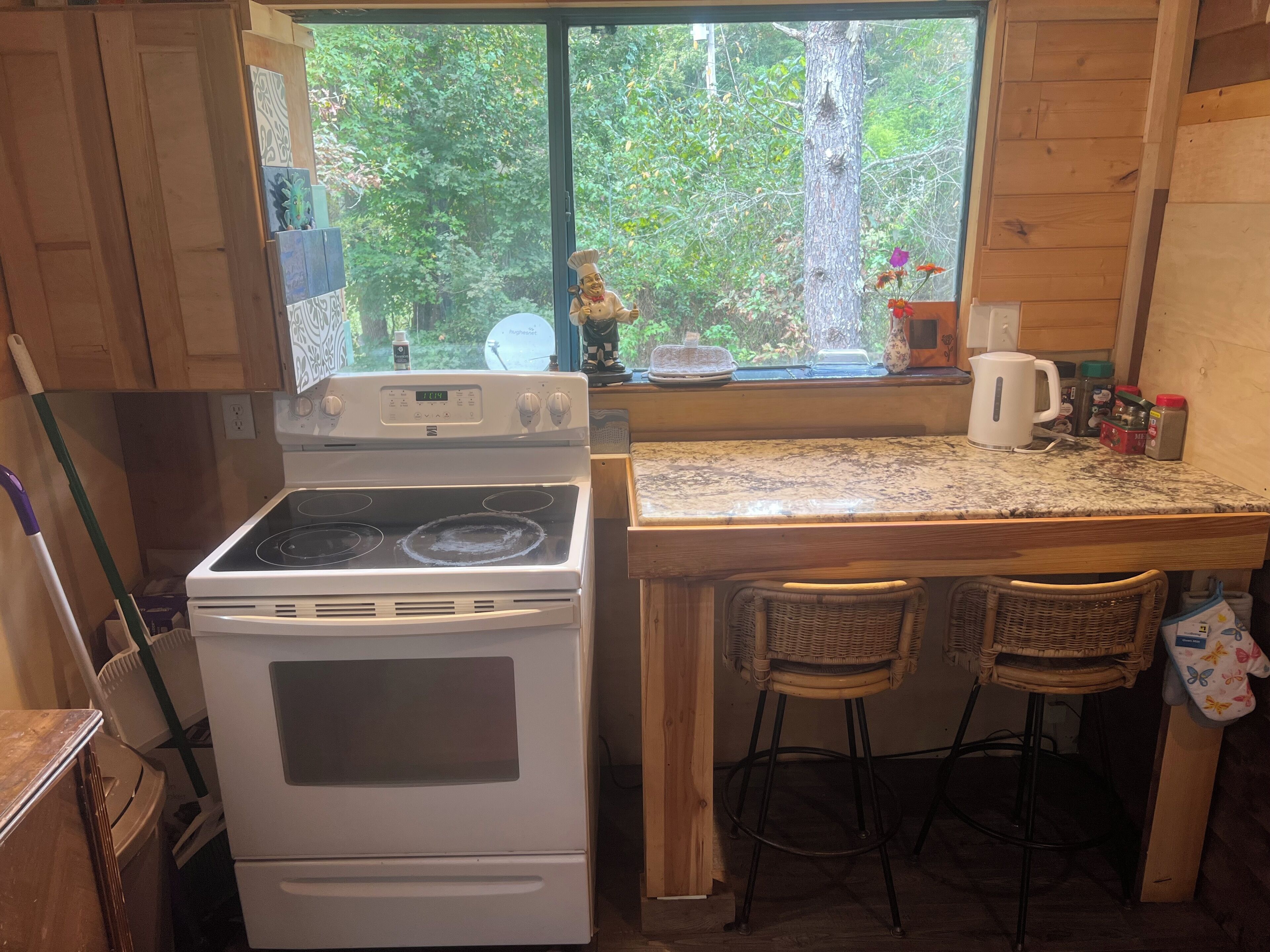 A kitchen with a stove, a window with a view of trees, and a countertop with a kettle and spices.