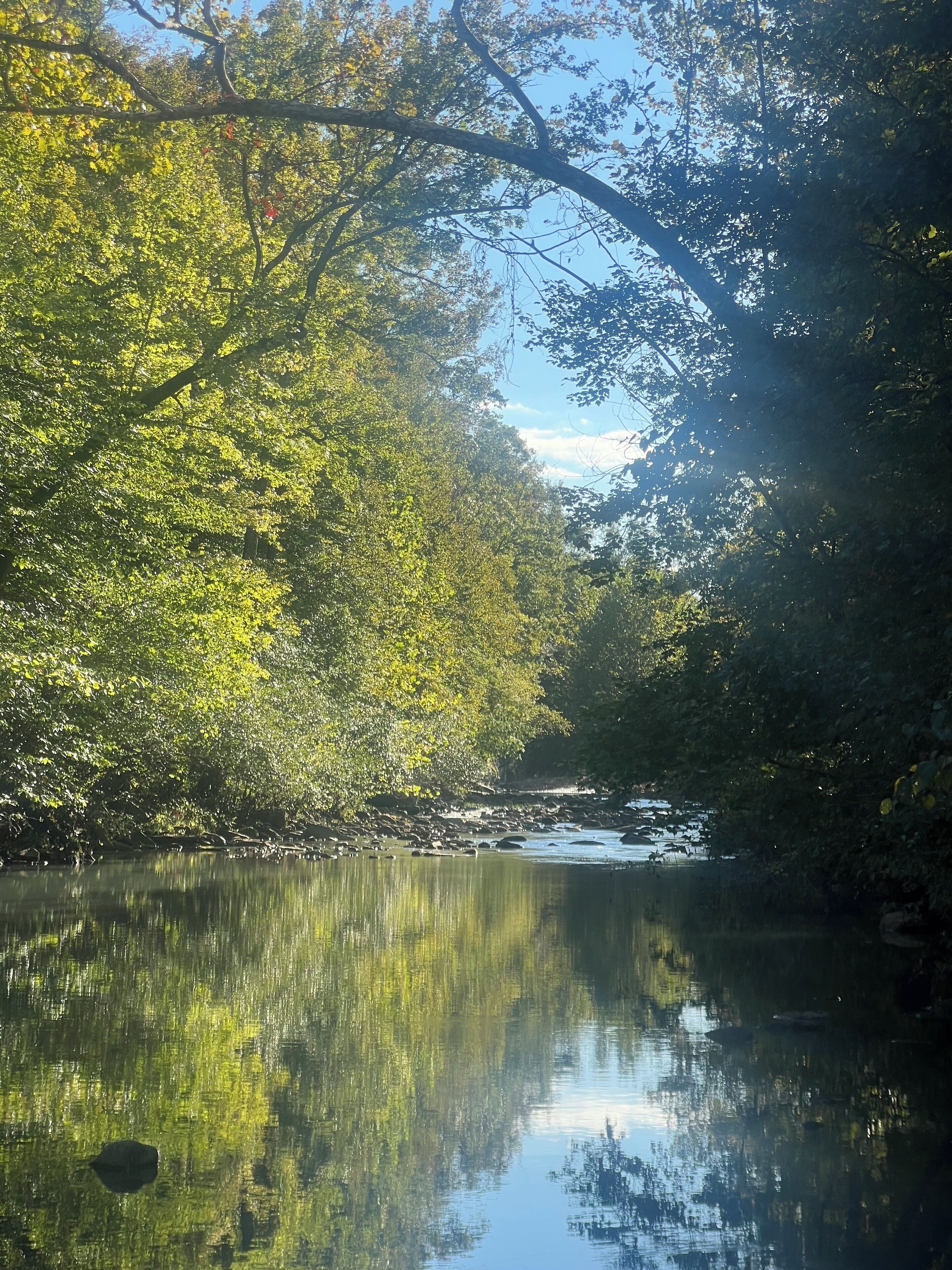 A serene river scene with dense foliage and a clear reflection in the water.