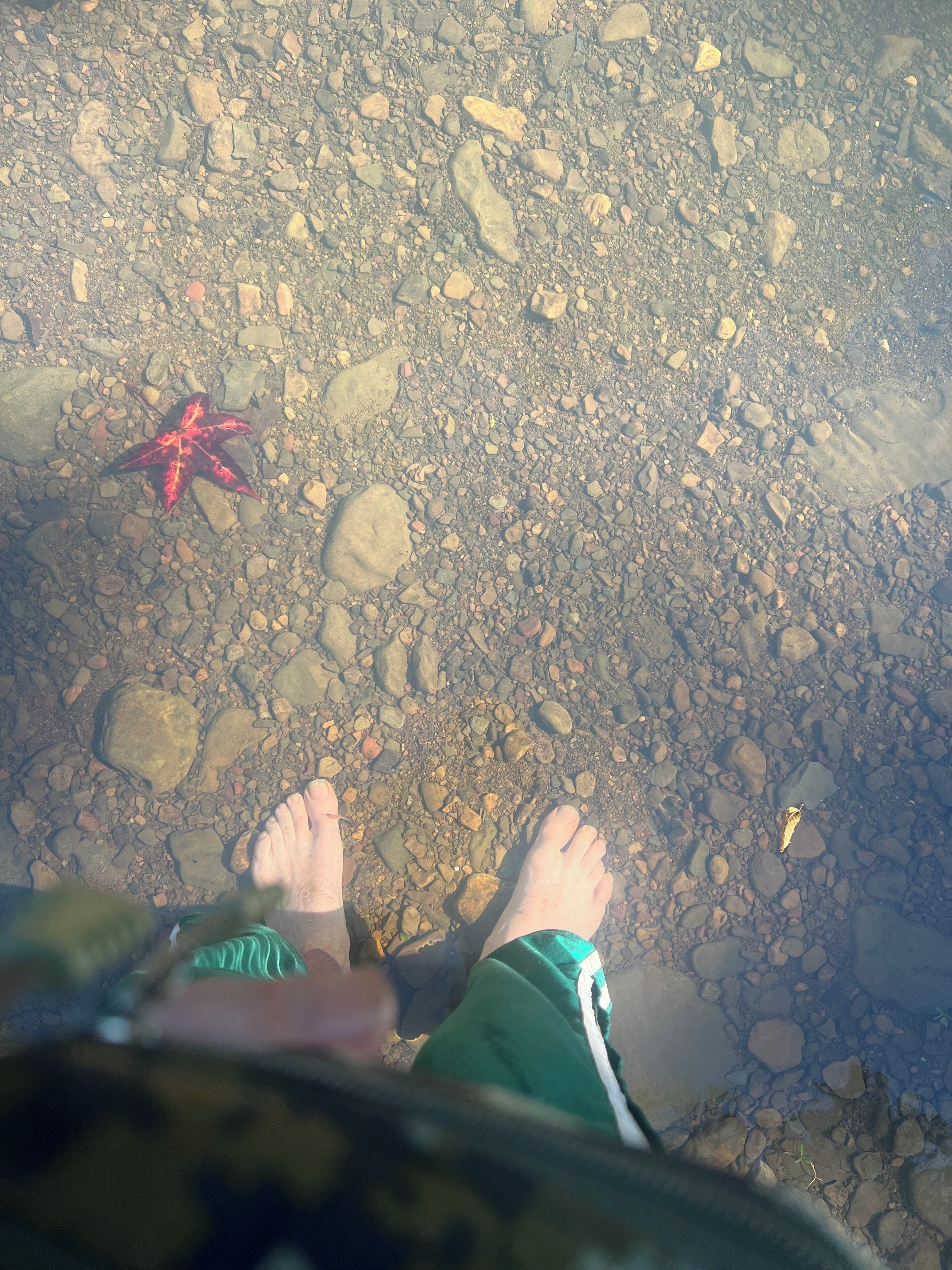 A person's feet standing on a rocky surface with a red leaf nearby.