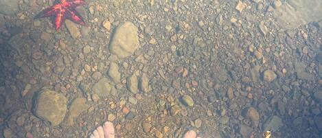 A person's feet standing on a rocky surface with a red leaf nearby.
