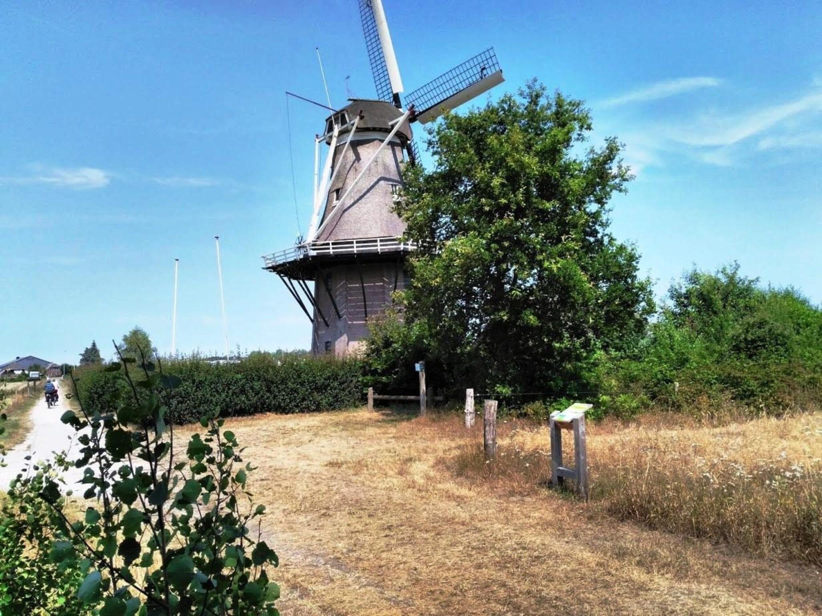 A traditional windmill with a pathway leading to it, surrounded by greenery and a clear sky.