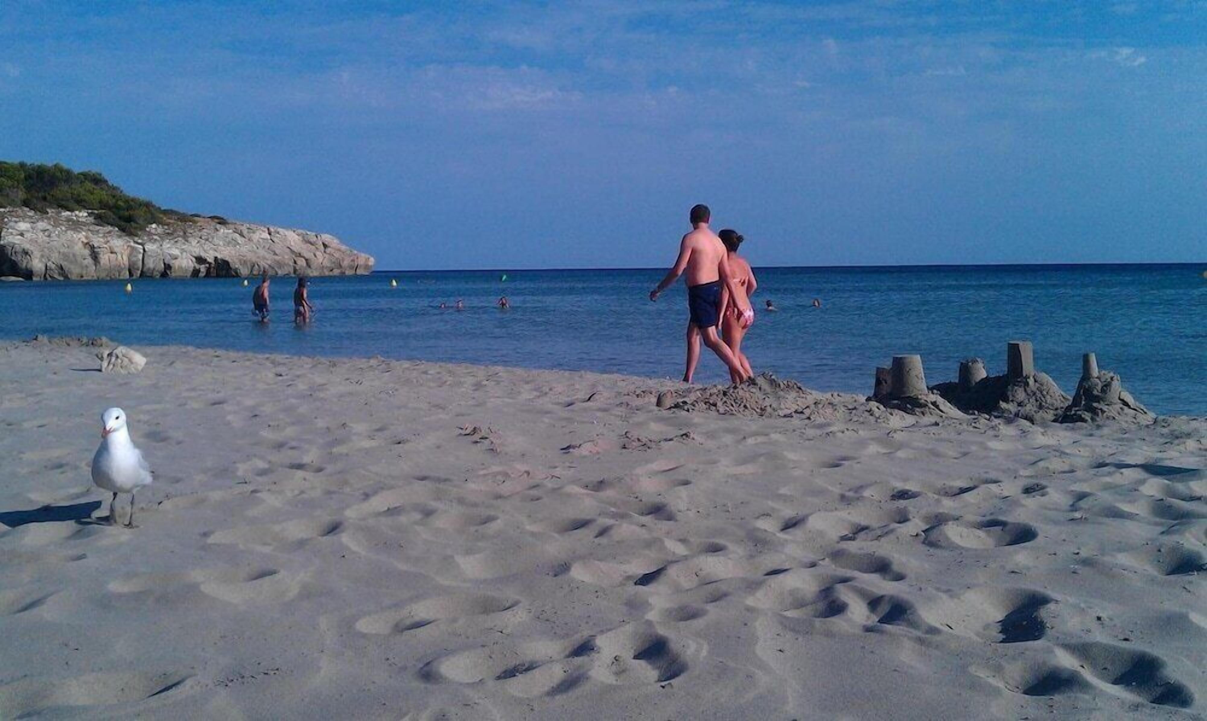Een zandstrand met voetafdrukken, een meeuw en een persoon die loopt.