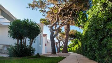 Terrein van de accommodatie