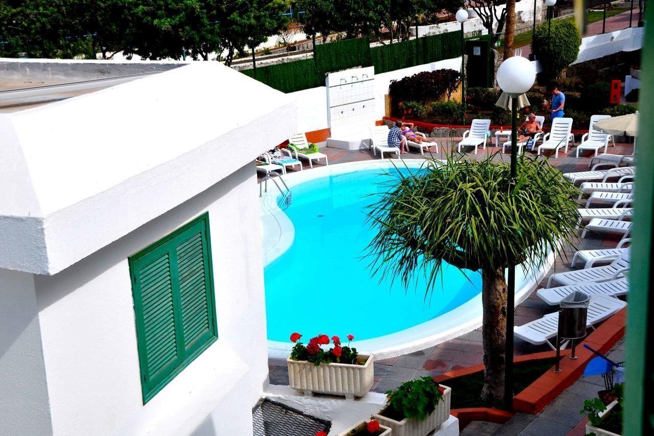 A pool area with white lounge chairs and a palm tree.