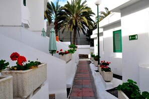 المنطقة المحيطة بالمنشأة