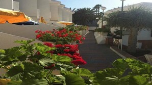 A pathway lined with red flowers and yellow umbrellas, leading to a building with white columns and a palm tree. - Niza Apartments (Mogan)