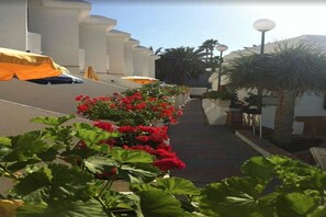 المنطقة المحيطة بالمنشأة