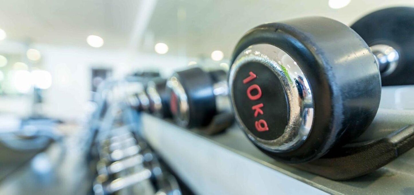 A row of 10 kg dumbbells on a rack in a gym.