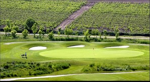 Golf - Holiday Inn Express Logrono Rioja By IHG (Logroño)