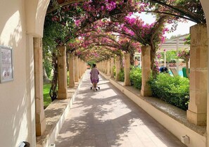 المنطقة المحيطة بالمنشأة