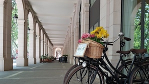 A bicycle with a basket and flowers parked in a covered corridor with columns. - Miiro Borneta (Barcelona)
