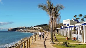 A coastal walkway with palm trees, a rocky shoreline, and buildings in the background. - Grupotel Playa Feliz (San Bartolomé de Tirajana)