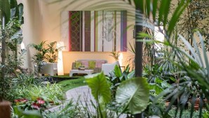 A cozy indoor garden with a sofa and chairs, surrounded by lush plants and a colorful abstract painting on the wall. - Aura Park Aparthotel (L'Hospitalet de Llobregat)