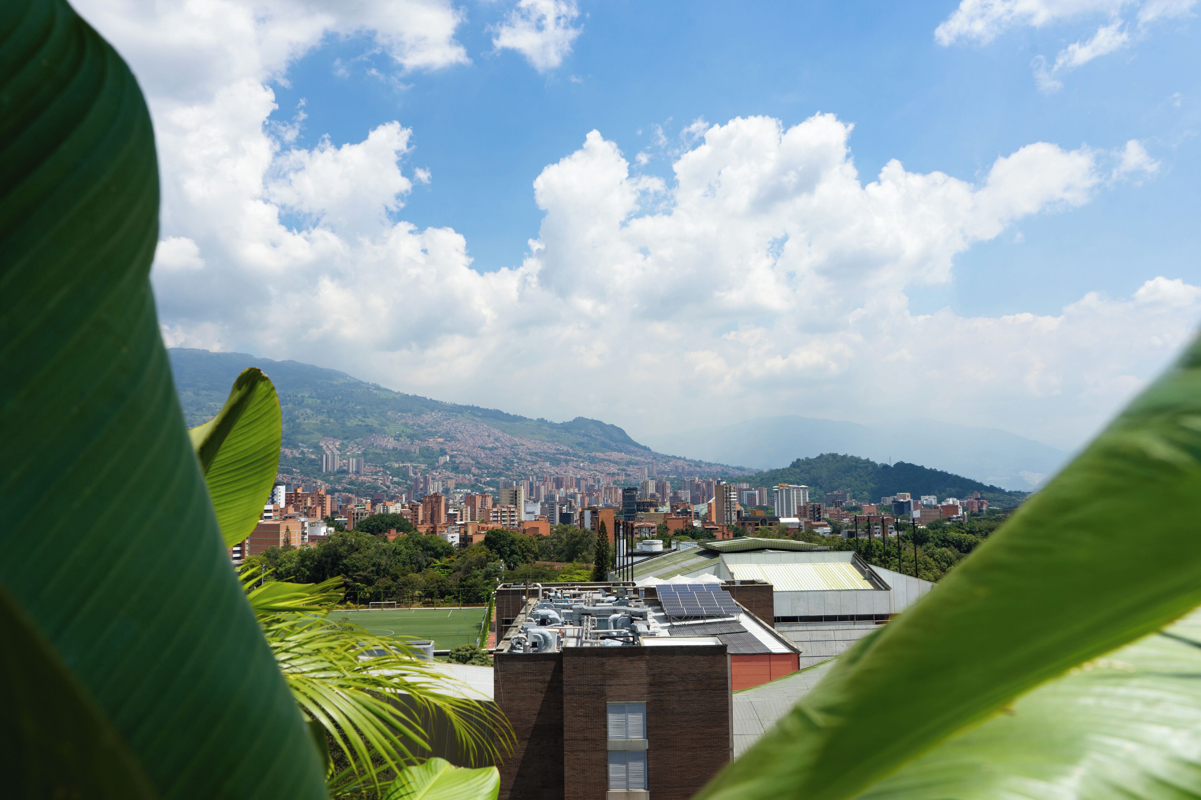 Standard Suite, Balcony | View from room