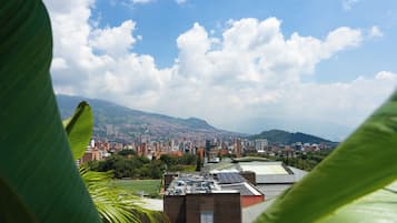 Standard Suite, Balcony | View from room