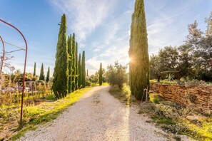 Áreas de la propiedad