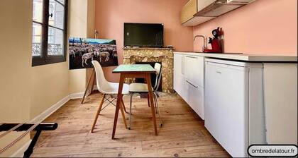 Studio rĂ©novĂ© Ă Lourdes â Rue de la Grotte, proche Sanctuaire et PyrĂ©nĂ©es