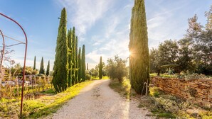 Un chemin de gravier bordé de cyprès majestueux et d’un mur de pierres, qui mène à un espace de détente extérieur au charme rustique.