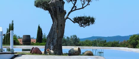 إطلالة على البحيرة