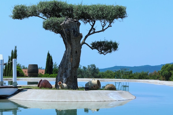 Lake view