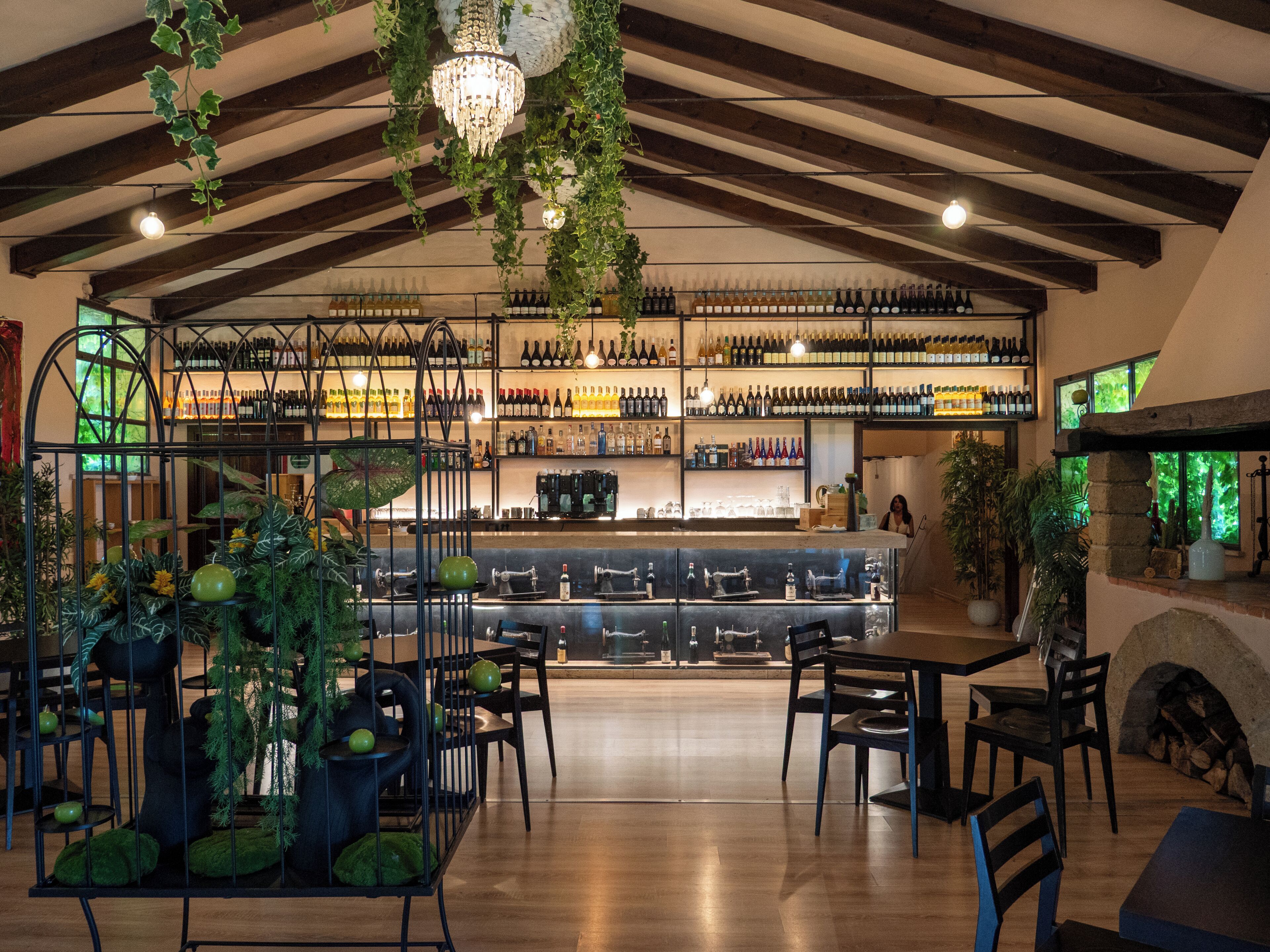 Bar (in der Unterkunft)