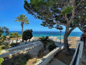 Land view from property